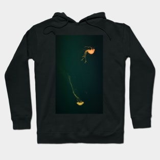 Jellyfish Dance. Vladivostok Aquarium Hoodie